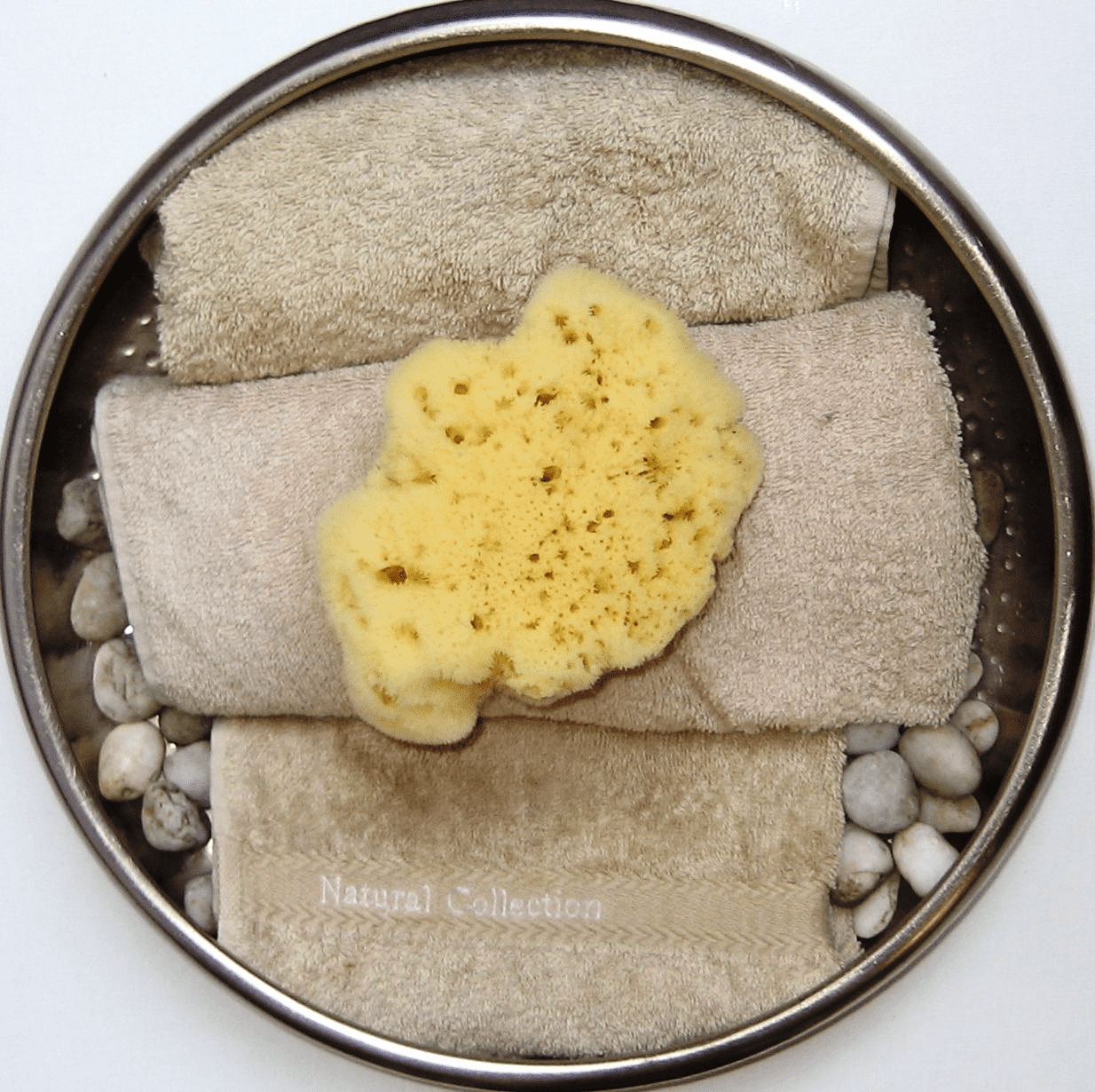 Dalmata Fina Sponges [Dense, Fine Textured Durable]. PureSponges