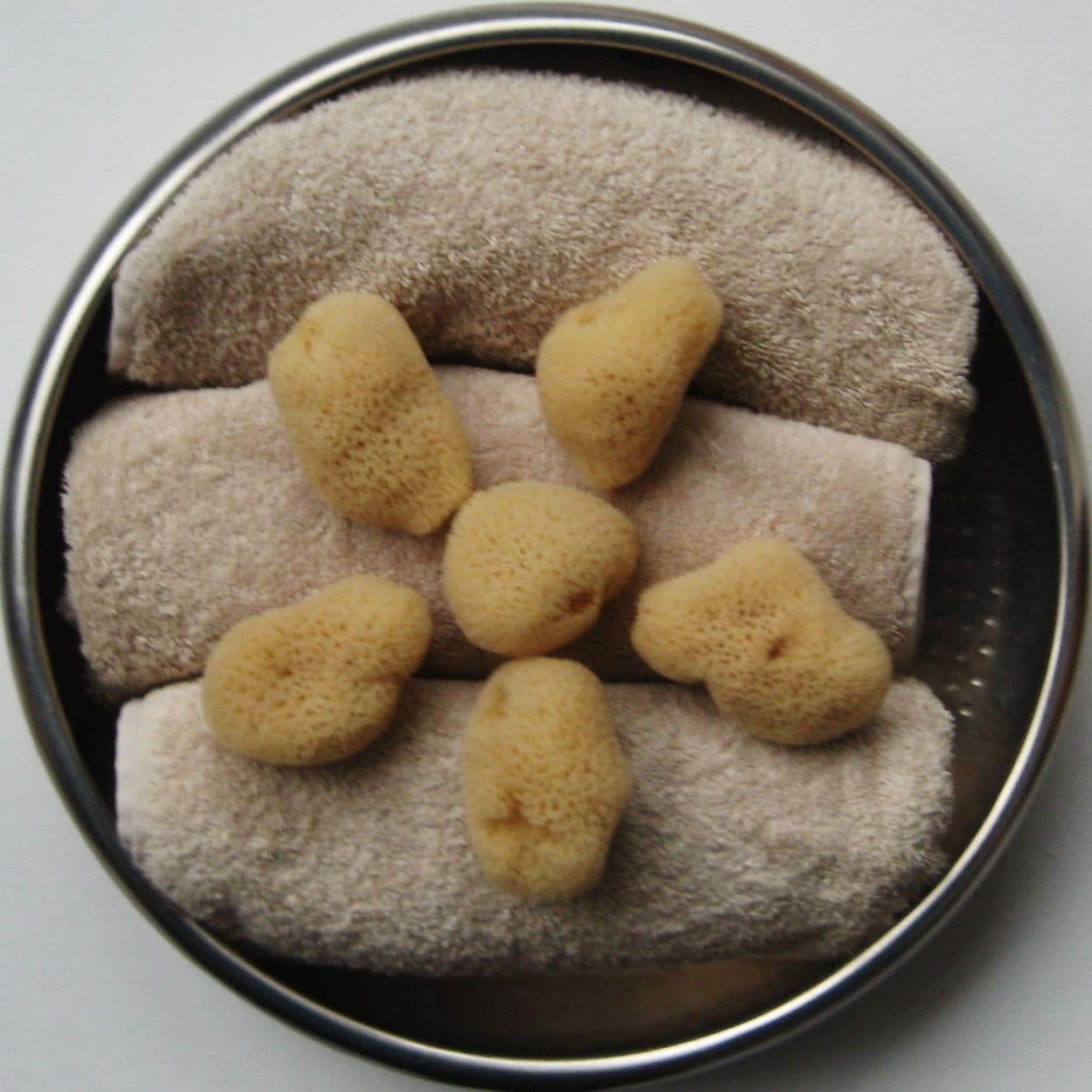 Natural sea Sponges for your face PureSponges