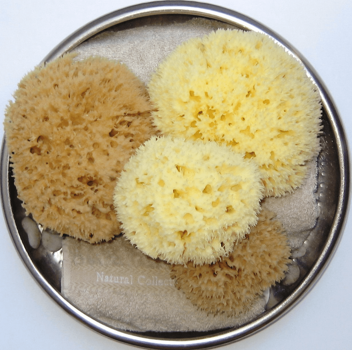 Honeycomb Sponges