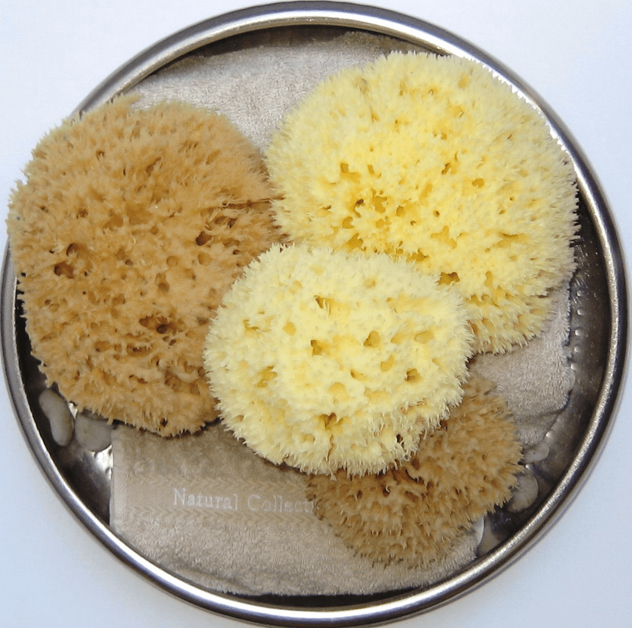 Natural Sea Bath Sponges [Bleached Unbleached]. PureSponges