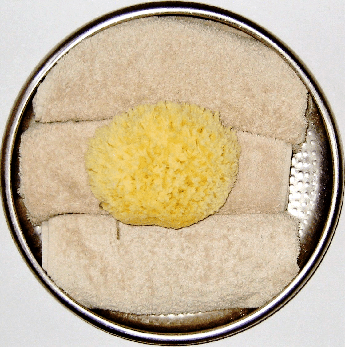 Sponges [Bleached ] PureSponges