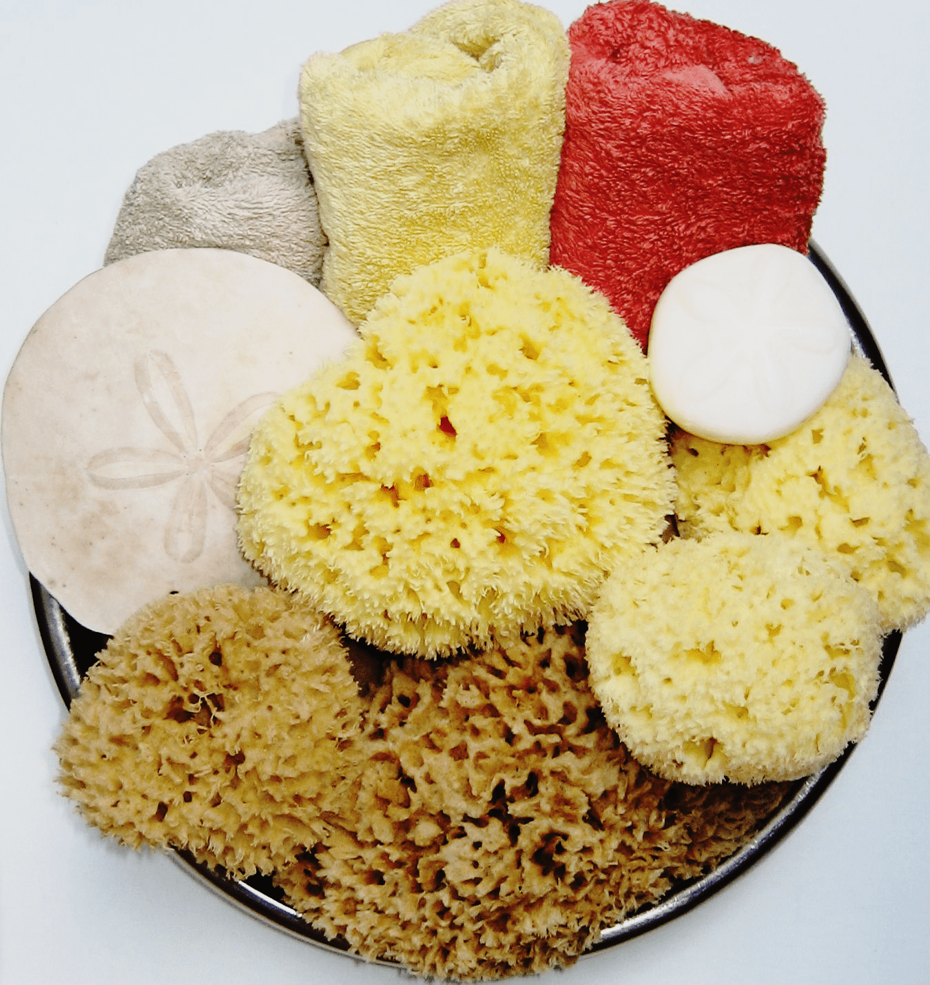 Individually photographed Natural Sea Sponges PureSponges