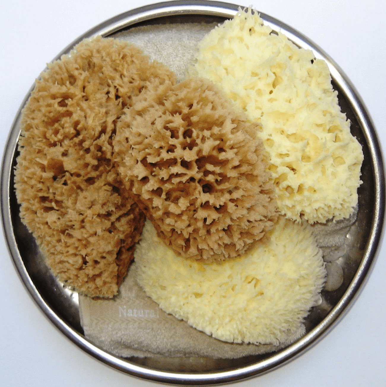 Natural Sea Bath Sponges [Bleached Unbleached]. PureSponges