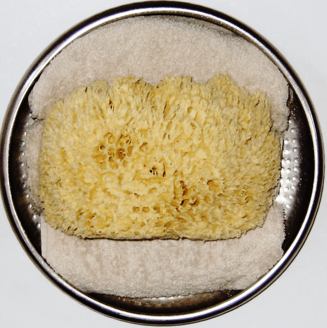 Bleached Sea Wool Sponges [Yellow coloured] PureSponges