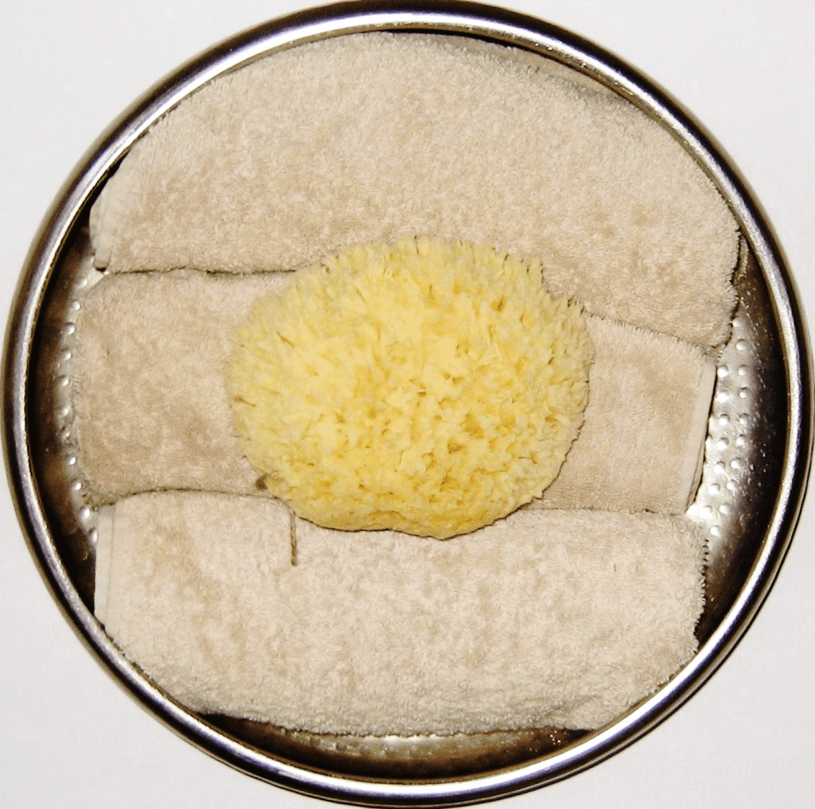 Bleached Sea Wool Sponges [Yellow coloured] PureSponges